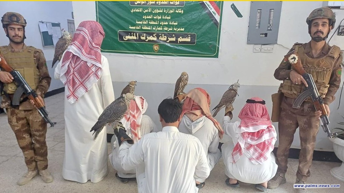 اعتقال 4 صيادين كويتيين ومرشد عراقي بحوزتهم 5 صقور في بادية المثنى